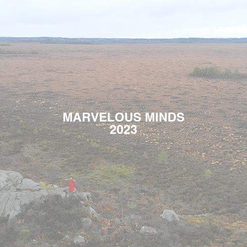 marvelousminds